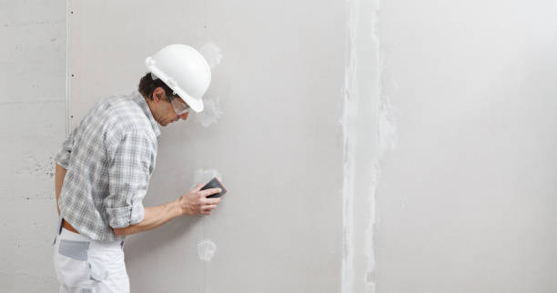 Best Biohazard Mold Removal  in Monticello, AR