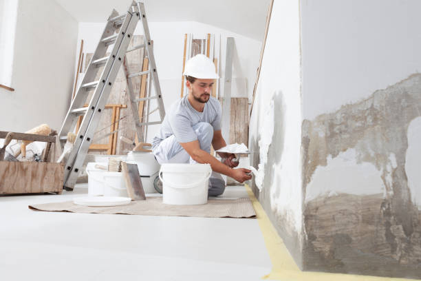 Best Mold Documentation for Insurance Claims  in Monticello, AR