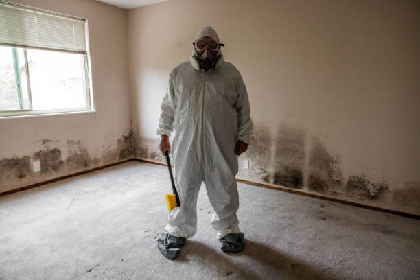 Best Biohazard Mold Removal  in Monticello, AR